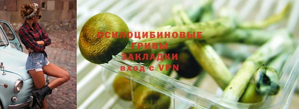 а пвп мука Алзамай
