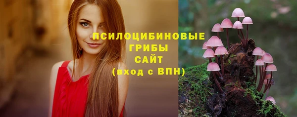 тгк Алексин