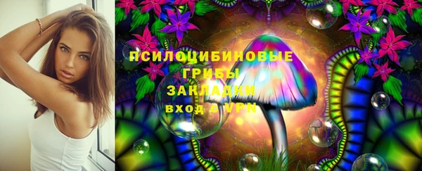СК Аркадак