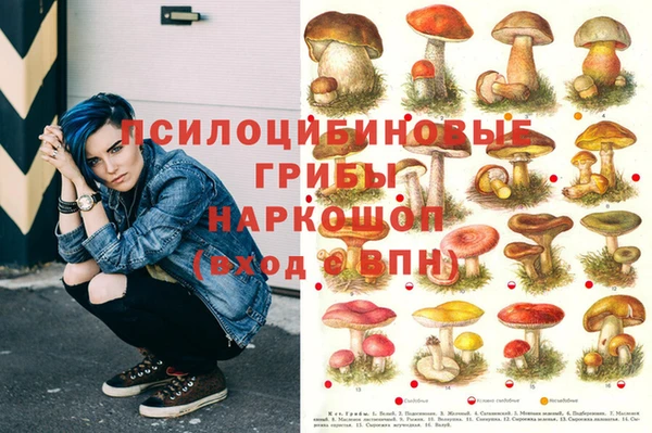 а пвп мука Алзамай