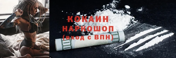 тгк Алексин