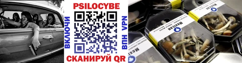 Галлюциногенные грибы Psilocybe  Кудрово 