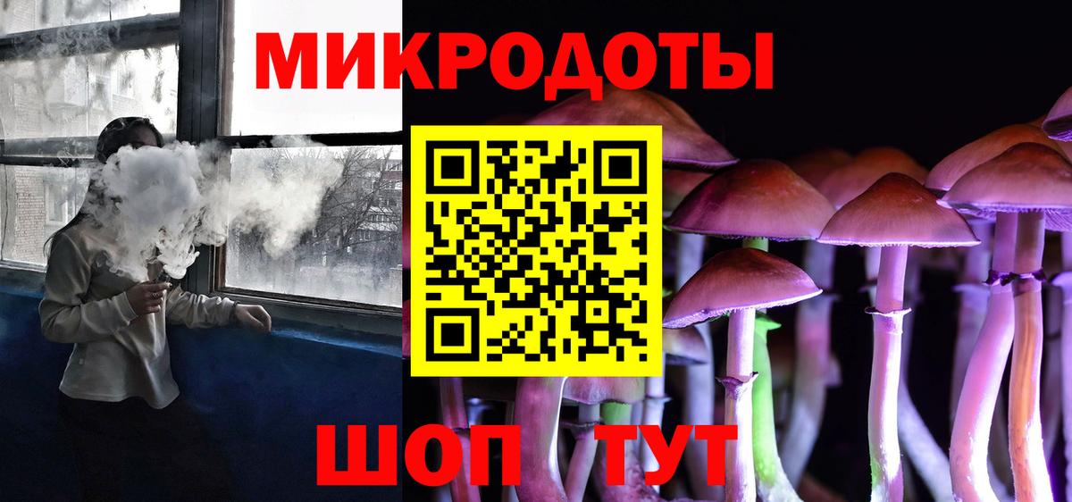 наркота  Псилоцибиновые грибы GOLDEN TEACHER  Вход с VPN  Кудрово  Псилоцибиновые грибы ЛСД 